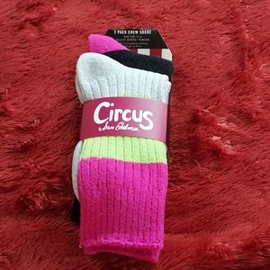 Pair of Crew Socks
